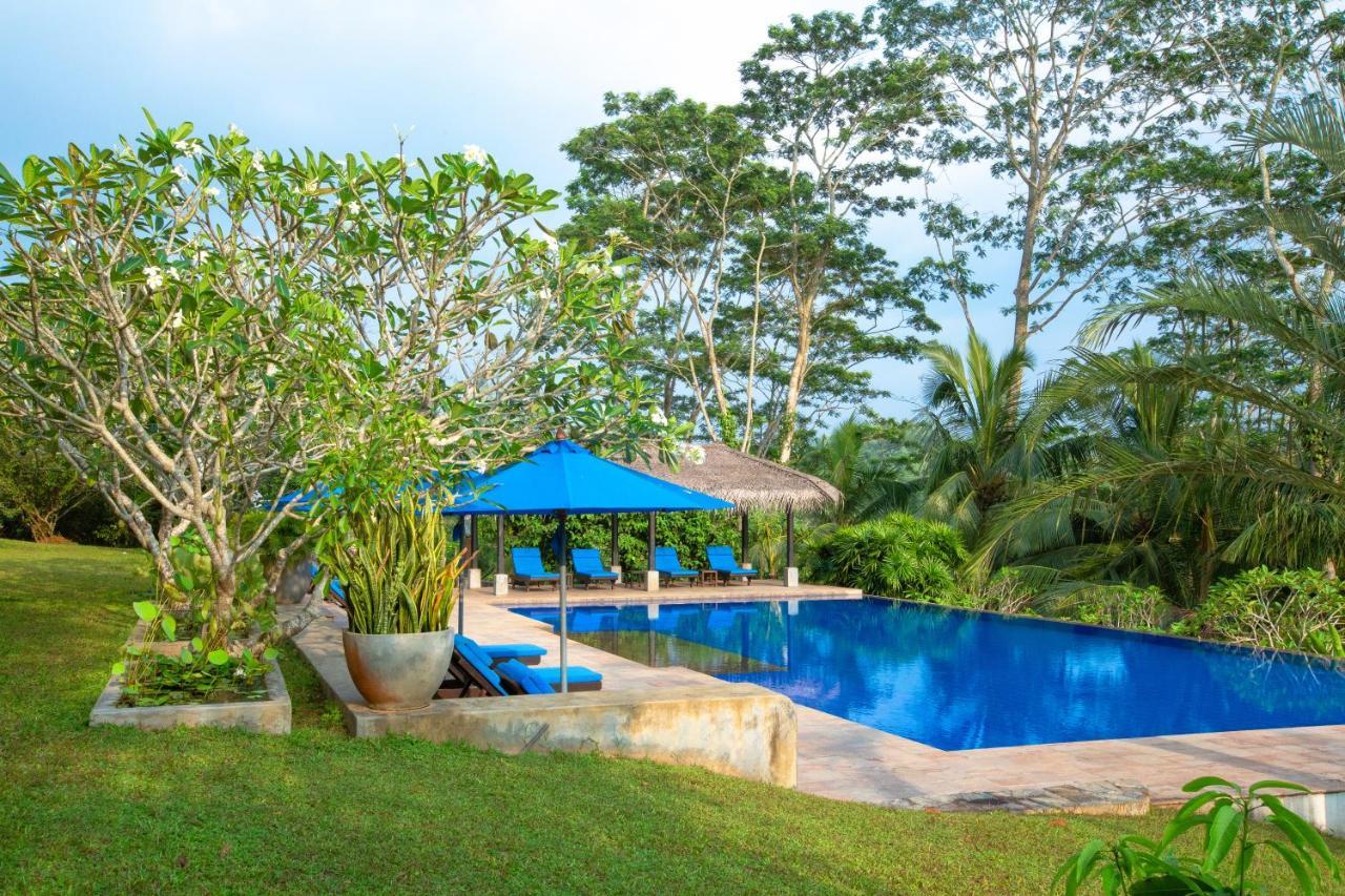 Niyagama House Hotel Galle Buitenkant foto
